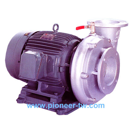 lanzamiento de nuevo producto